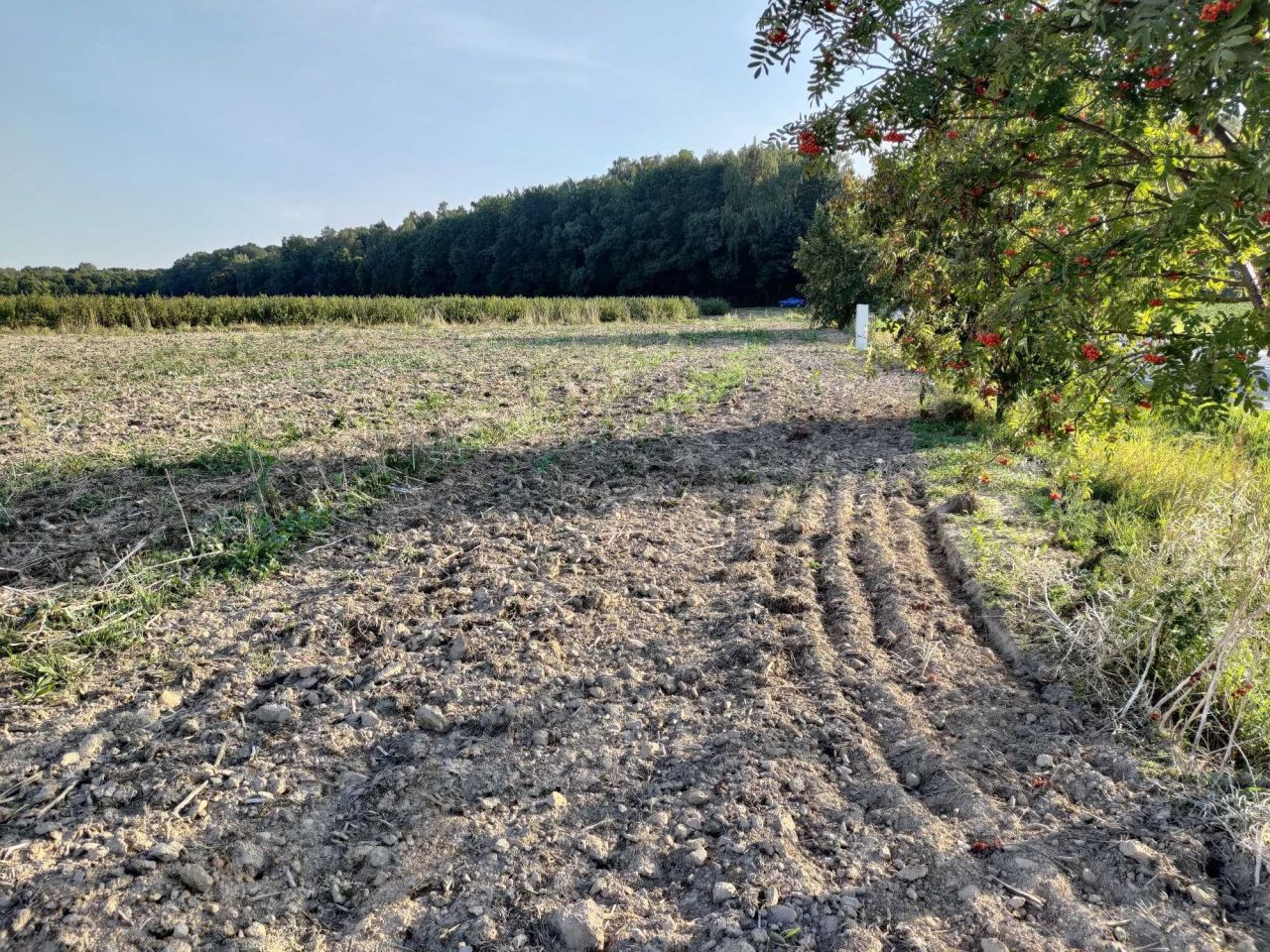 Działka budowlana Krasienin. Zdjęcie 2