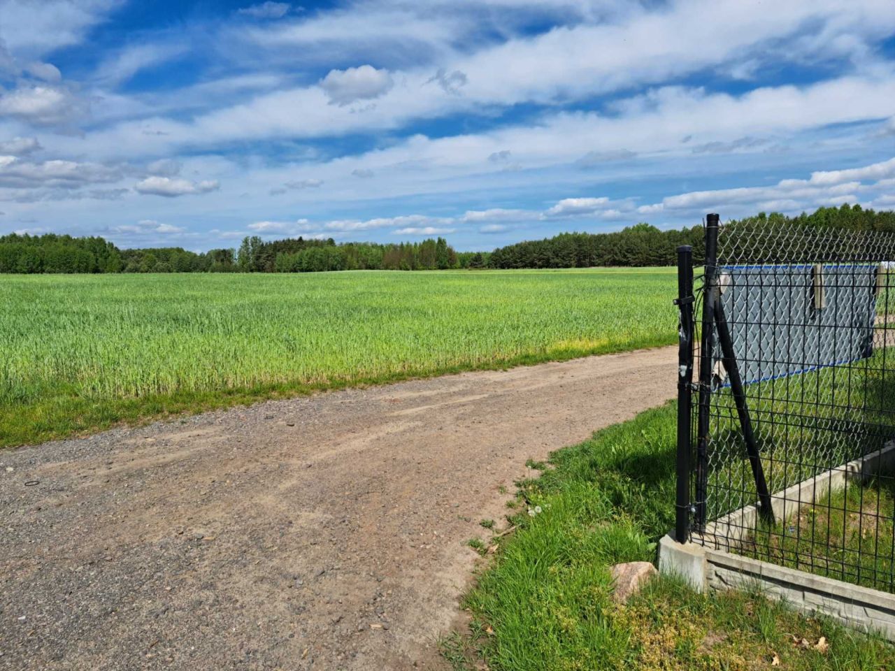 Działka rolna Studzianna. Zdjęcie 2