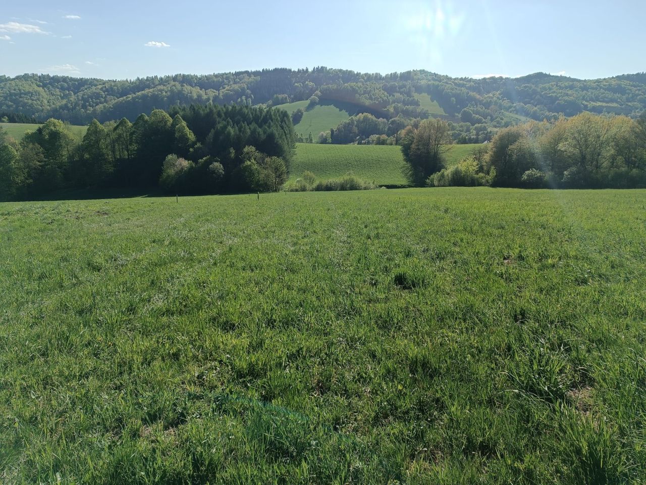 Działka rekreacyjna Wujskie. Zdjęcie 8