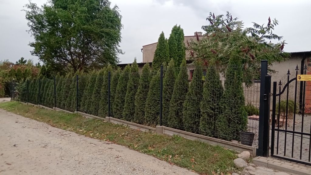 gospodarstwo Chmielewo. Zdjęcie 2