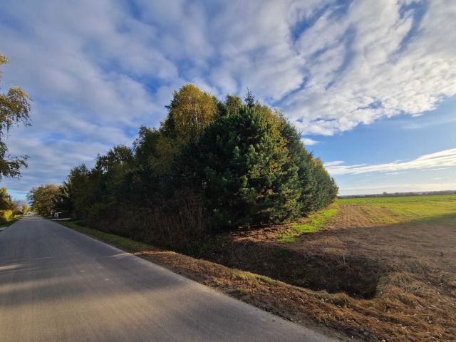 Działka budowlana Broniszewice. Zdjęcie 1
