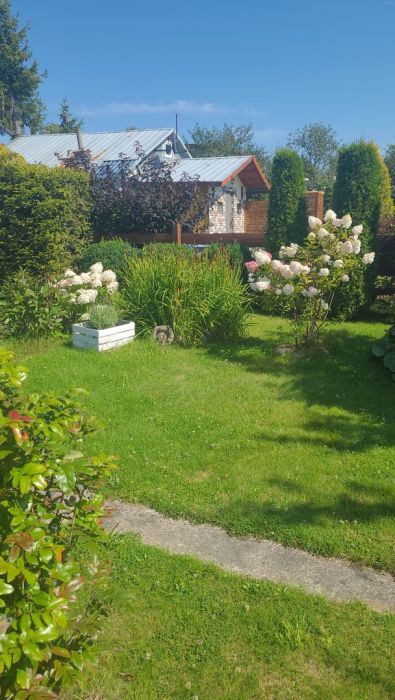 Działka rod Gdańsk Rębiechowo, ul. Nowatorów. Zdjęcie 6