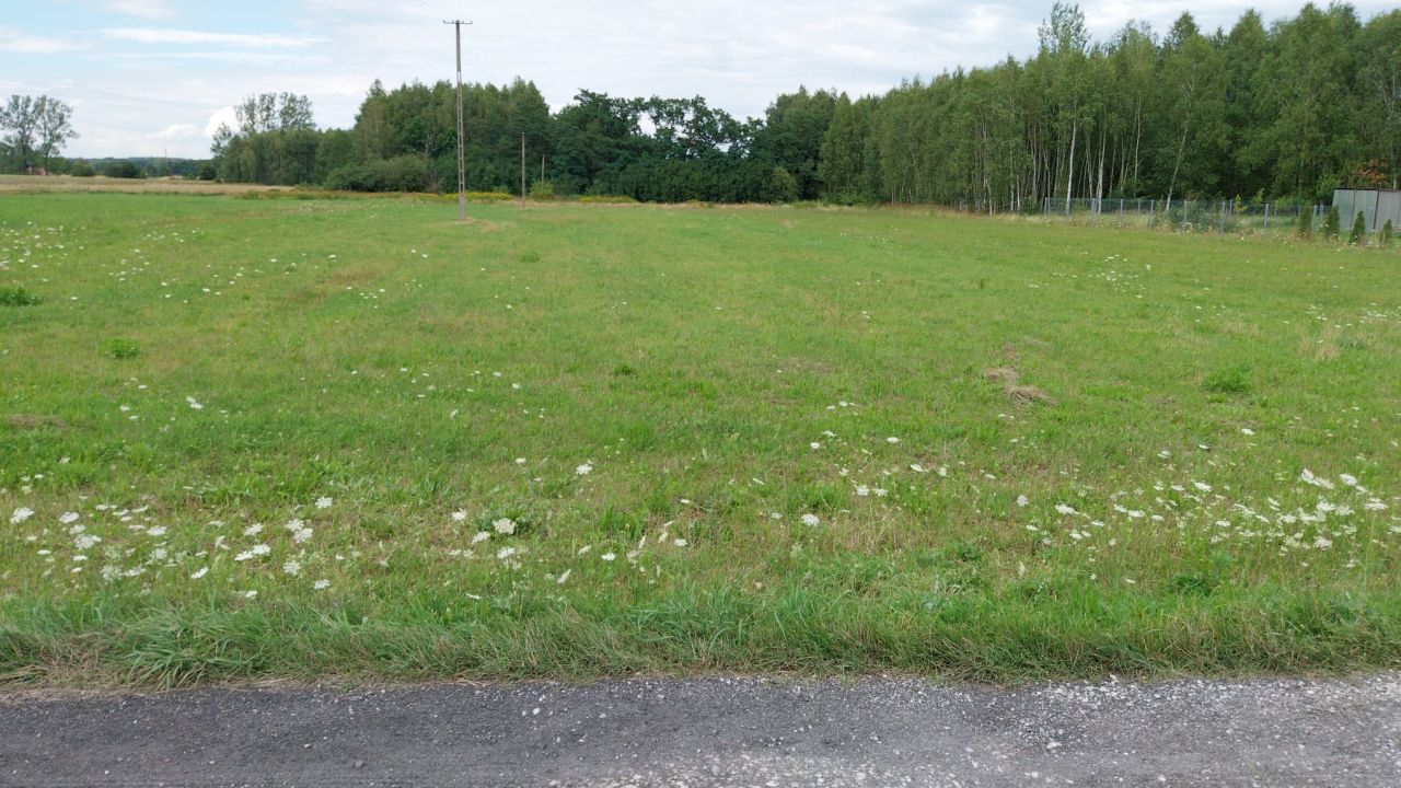 Działka budowlana Wygiełzów. Zdjęcie 4