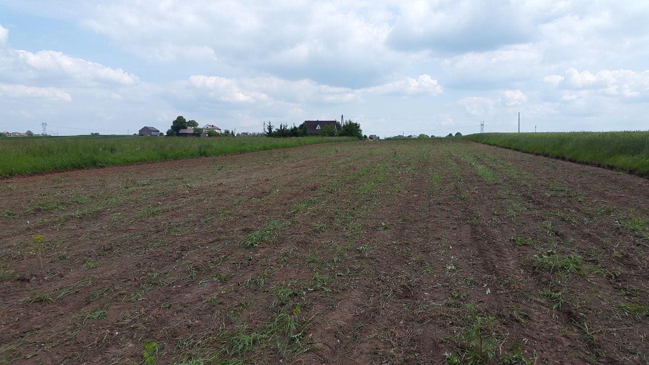 Działka rolno-budowlana Zabijak Wilczy Krzak, ul. Wiatrakowa. Zdjęcie 2