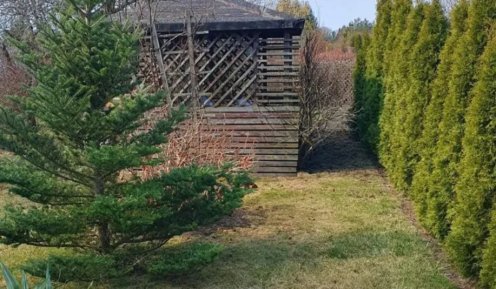 Działka rod Ciechanów