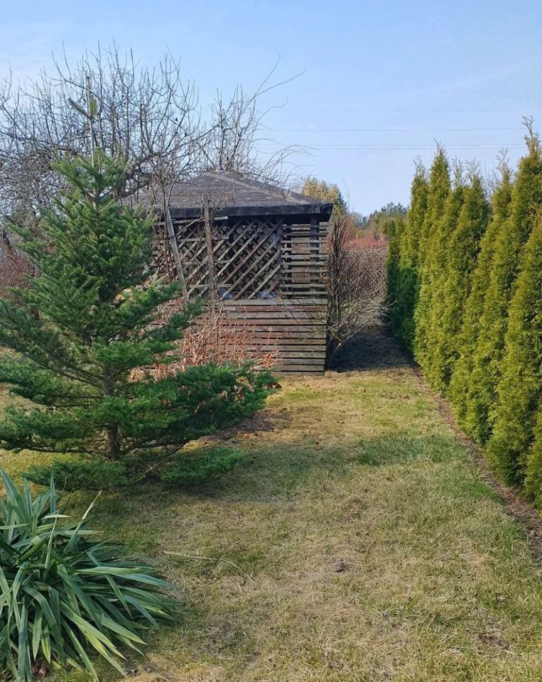 Działka rod Ciechanów. Zdjęcie 1