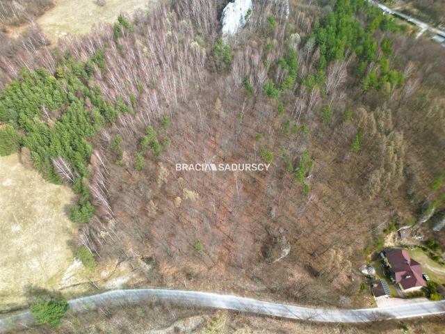 Działka leśna Jerzmanowice, ul. Zachodnia. Zdjęcie 2
