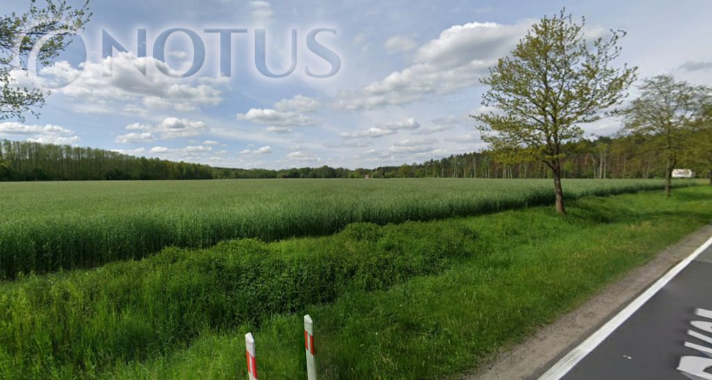 Działka budowlana Ostrowina. Zdjęcie 5