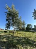 Działka budowlana Janowice. Zdjęcie 1