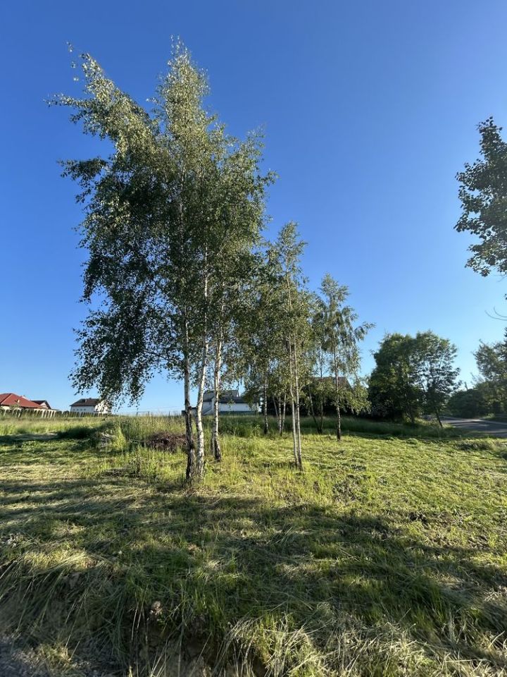 Działka budowlana Janowice. Zdjęcie 2