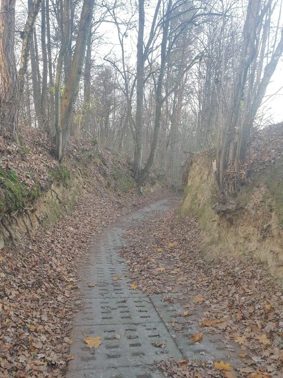 Działka budowlana Kazimierz Dolny Góry Pierwsze, ul. Zbożowa. Zdjęcie 6