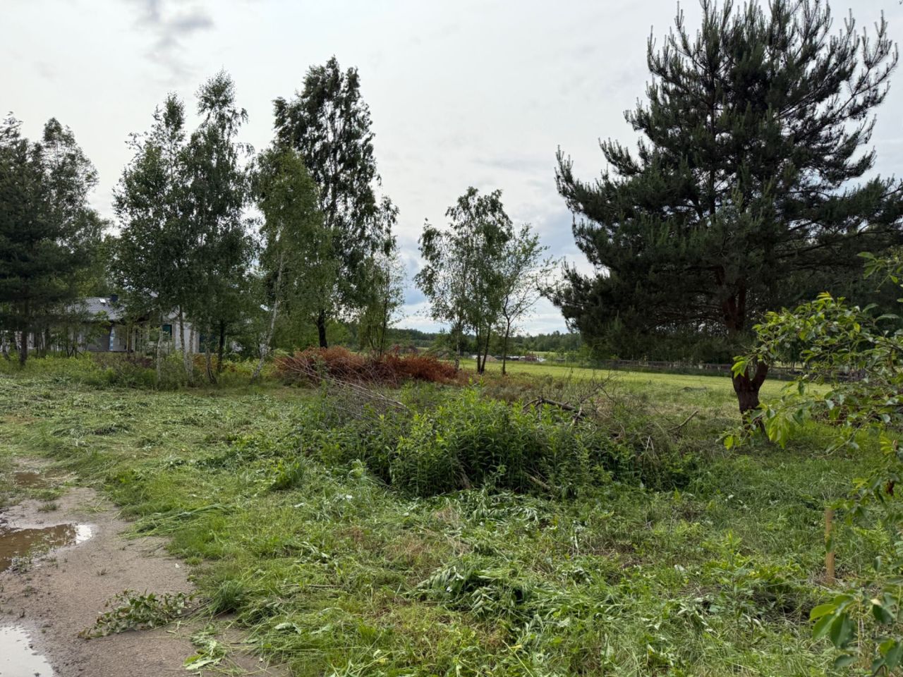 Działka budowlana Zalesie. Zdjęcie 2