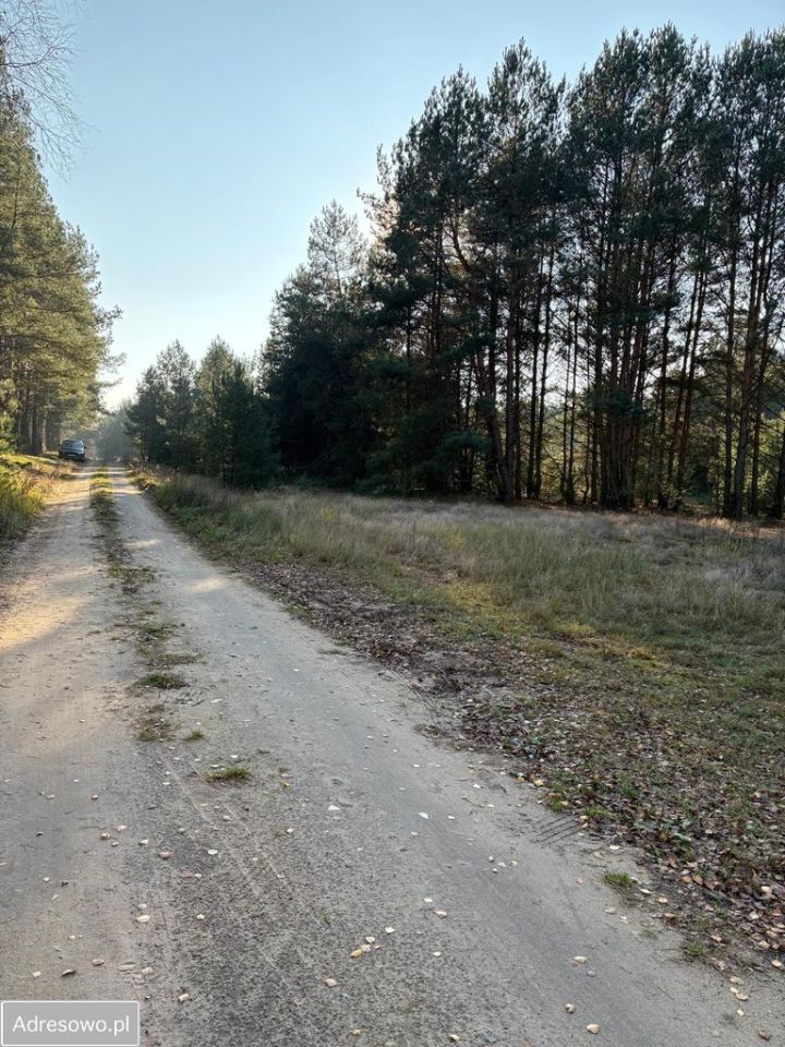 Działka budowlana Łążyn. Zdjęcie 2