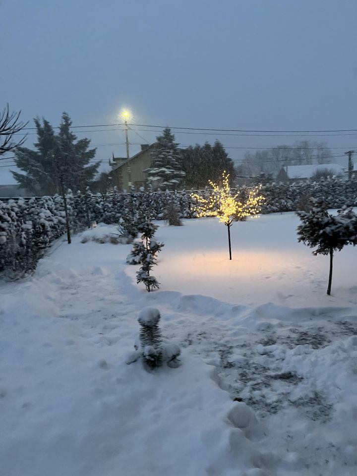 bliźniak, 4 pokoje Łosia Wólka, ul. Południowa. Zdjęcie 3