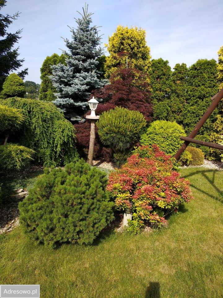 dom wolnostojący, 4 pokoje Jeszkowice, ul. Zielonego Dębu. Zdjęcie 14