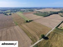 Działka budowlana Komory. Zdjęcie 4