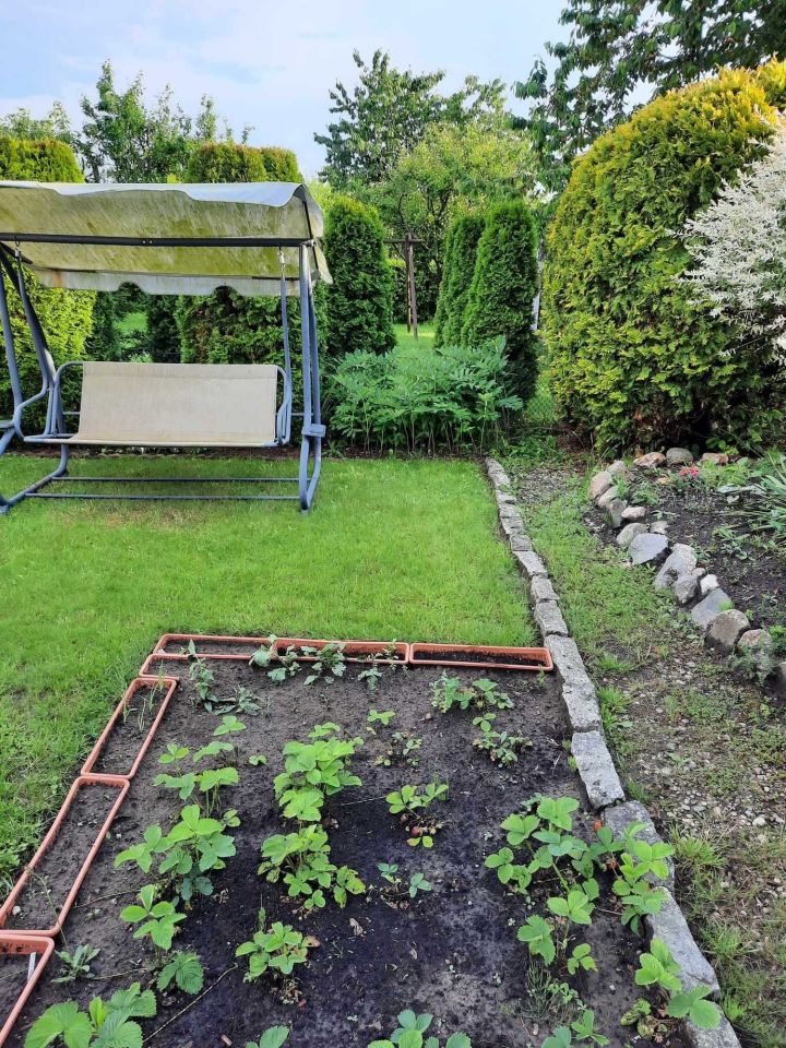 Działka rod Koszalin Jamno. Zdjęcie 8