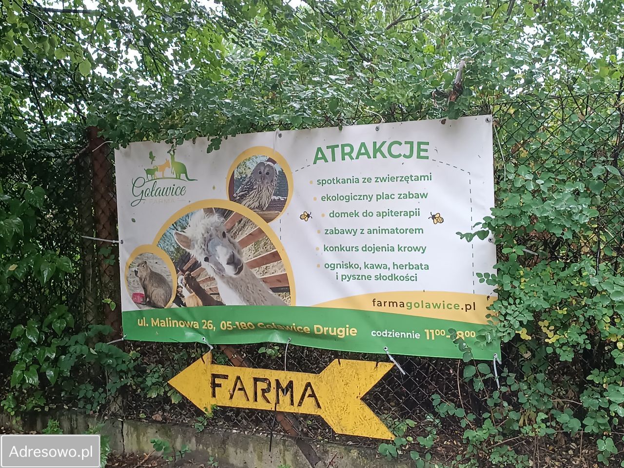 Działka budowlana Goławice Drugie. Zdjęcie 7