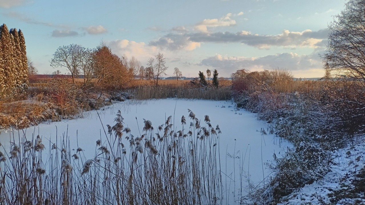 Działka budowlana Izbiszcze. Zdjęcie 3