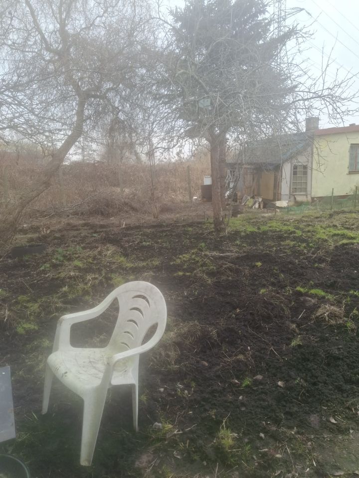 Działka rod Gdańsk Zaspa, ul. Zaścianek. Zdjęcie 6