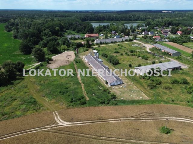 Hala/magazyn Rutwica. Zdjęcie 5