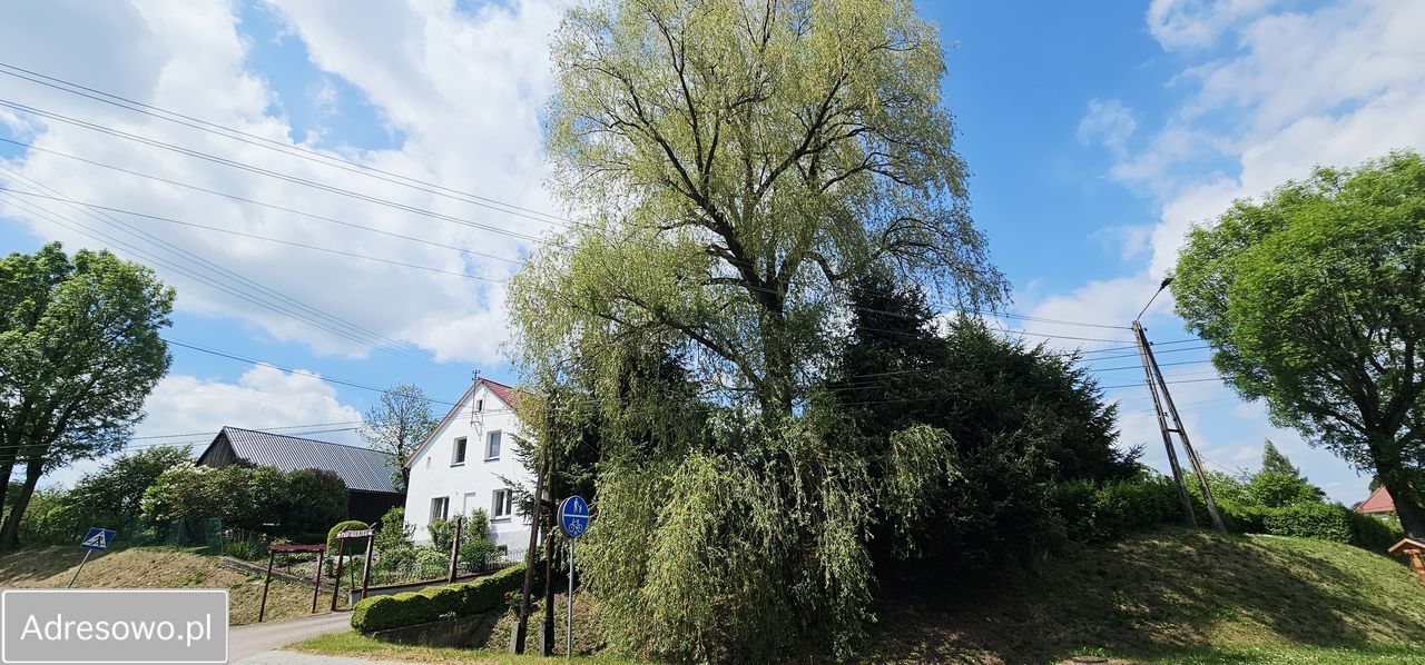 dom wolnostojący, 9 pokoi Konradów. Zdjęcie 2