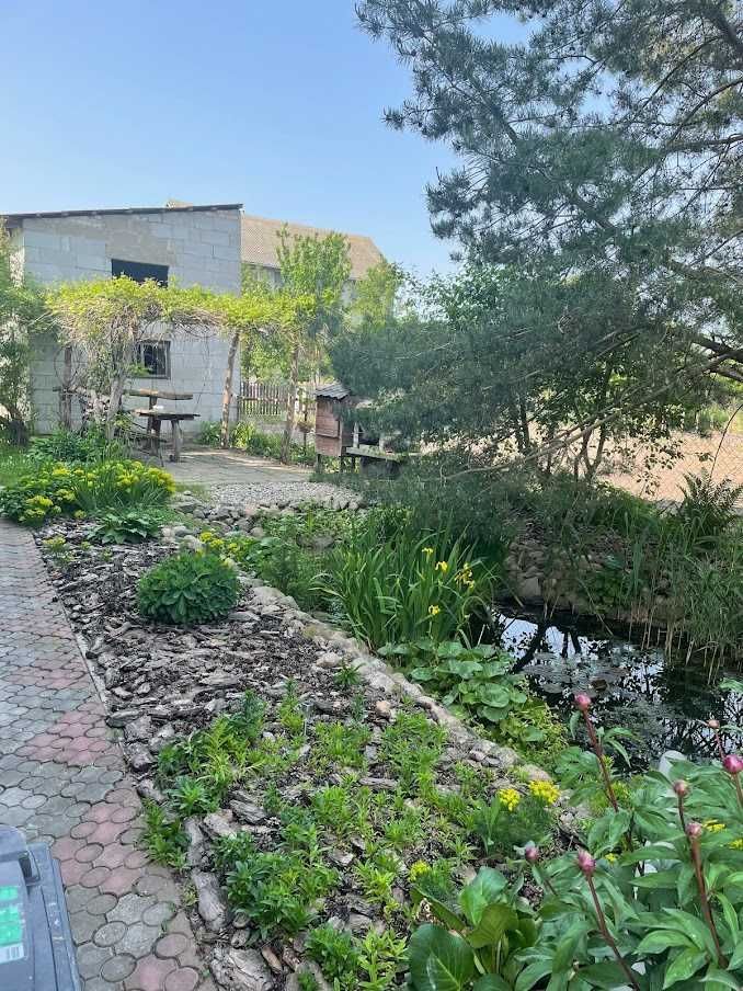 dom wolnostojący Dzierzgowo. Zdjęcie 6