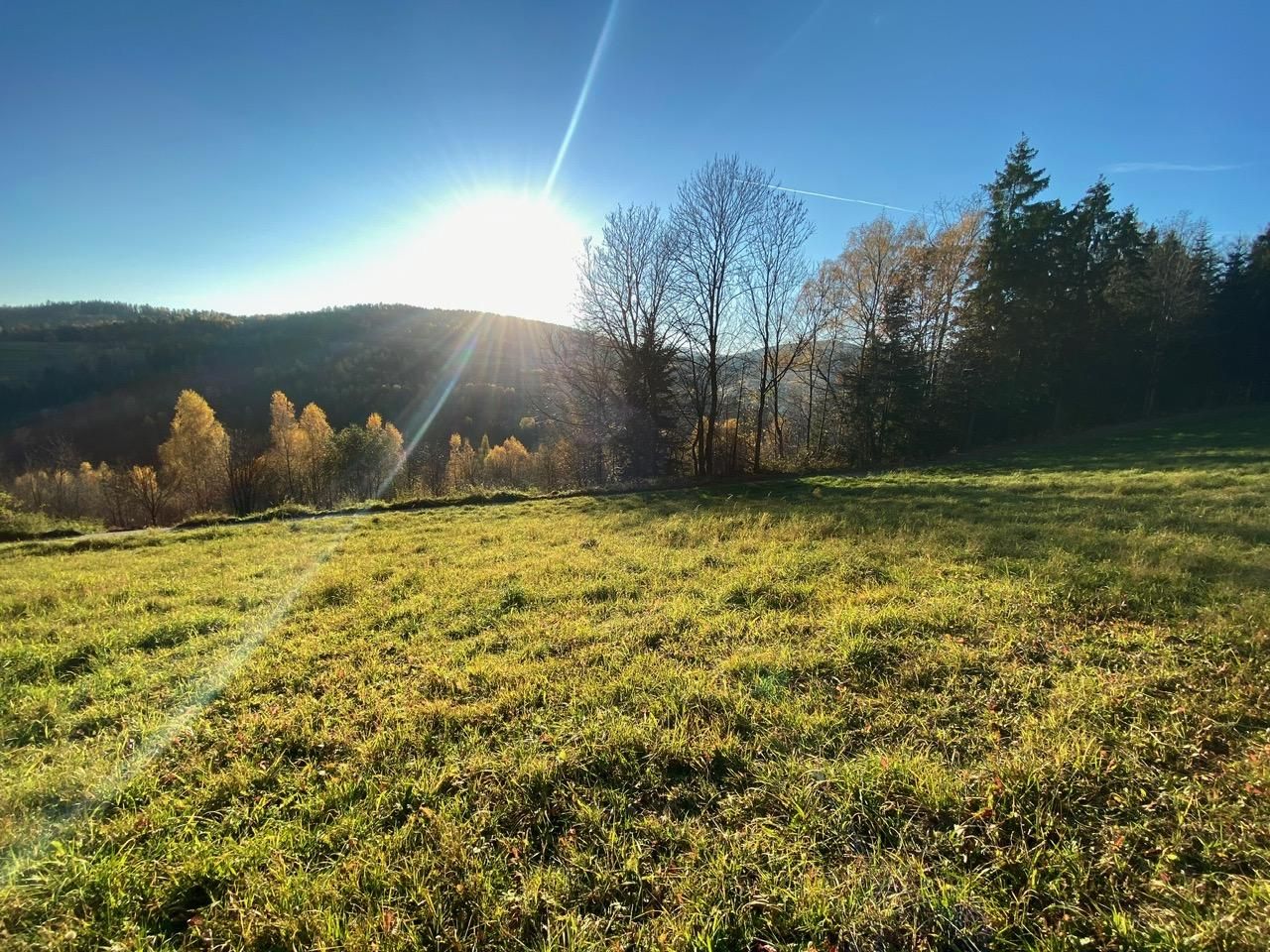 Działka budowlana Tokarnia. Zdjęcie 6