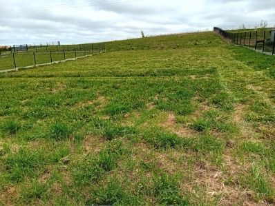 Działka rolno-budowlana Marzęcice, ul. Szkolna