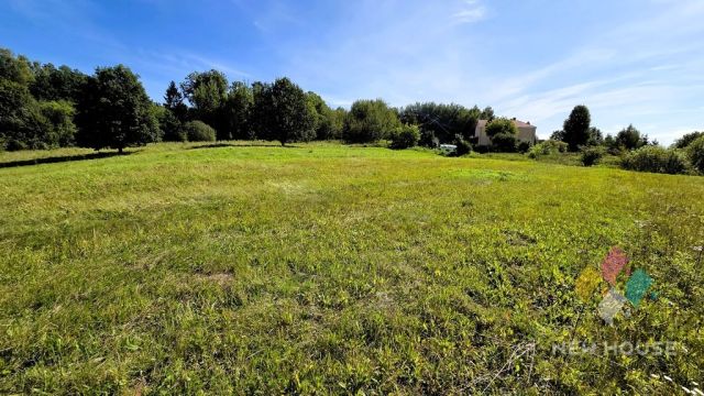 Działka Biskupiec. Zdjęcie 4