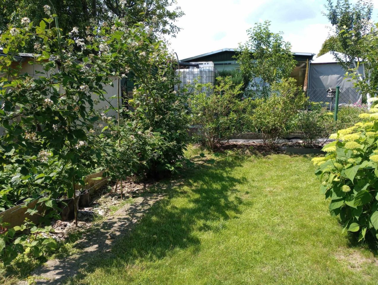 Działka rod Gorzów Wielkopolski. Zdjęcie 2