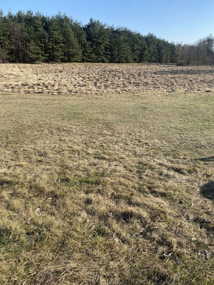 Działka budowlana Drogoszowice. Zdjęcie 4