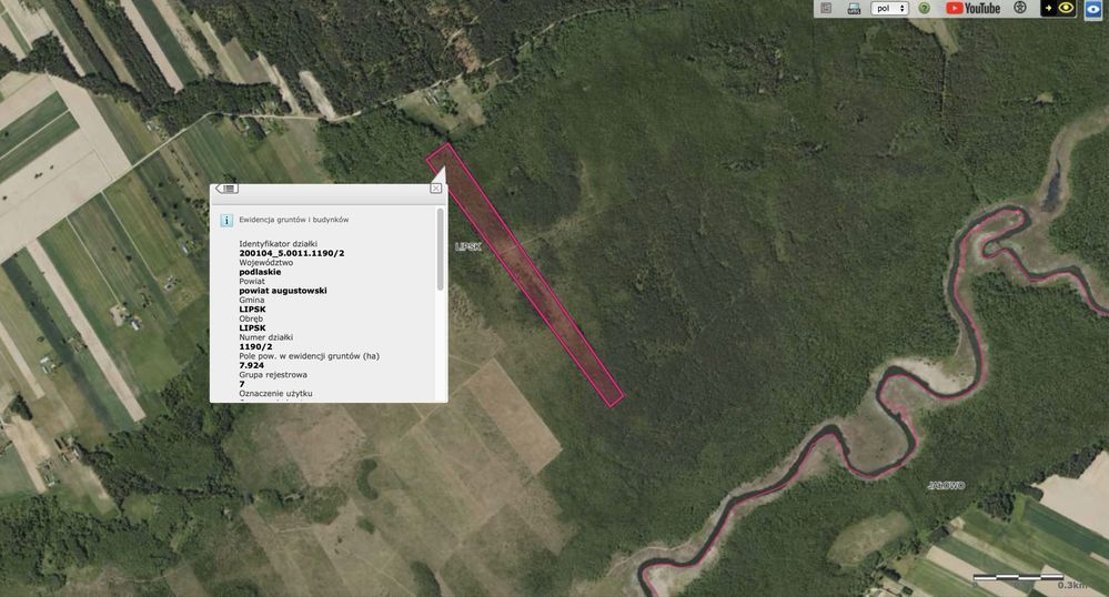 Działka leśna Lipsk. Zdjęcie 2