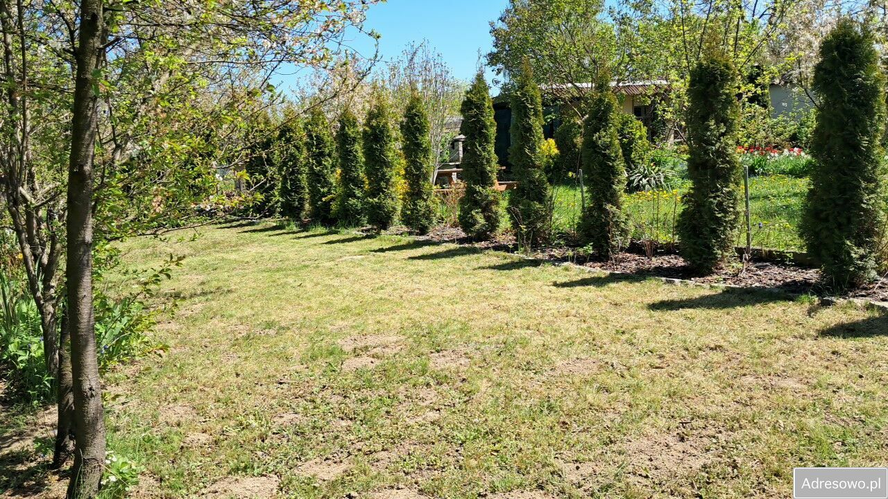 Działka rod Świdnica. Zdjęcie 2