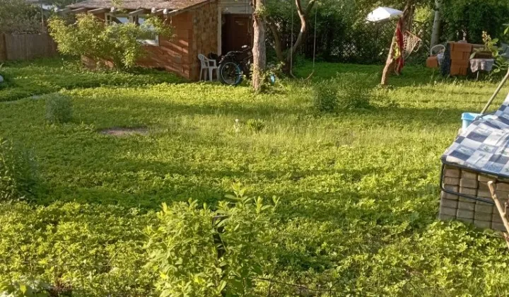 Działka rod Łódź Śródmieście, ul. Drewnowska
