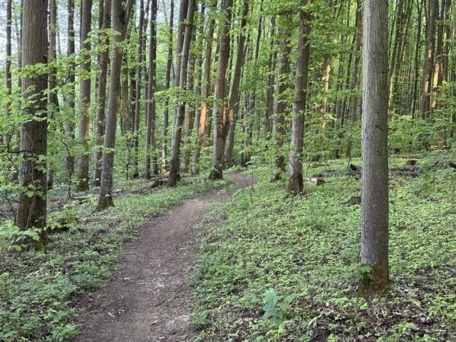 Działka budowlana Poznań Strzeszyn. Zdjęcie 10