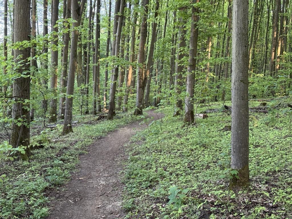 Działka budowlana Poznań Strzeszyn. Zdjęcie 10
