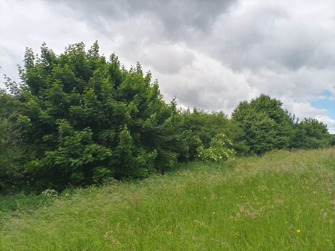 Działka budowlana Równe, ul. Pocztowa. Zdjęcie 14