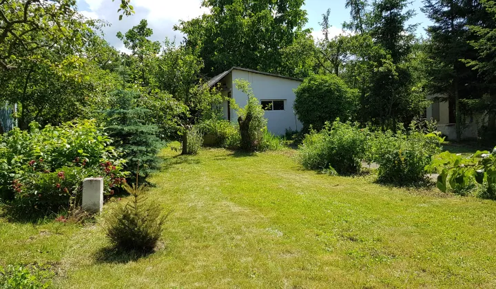 Działka rod Wrocław Psie Pole, ul. Toruńska