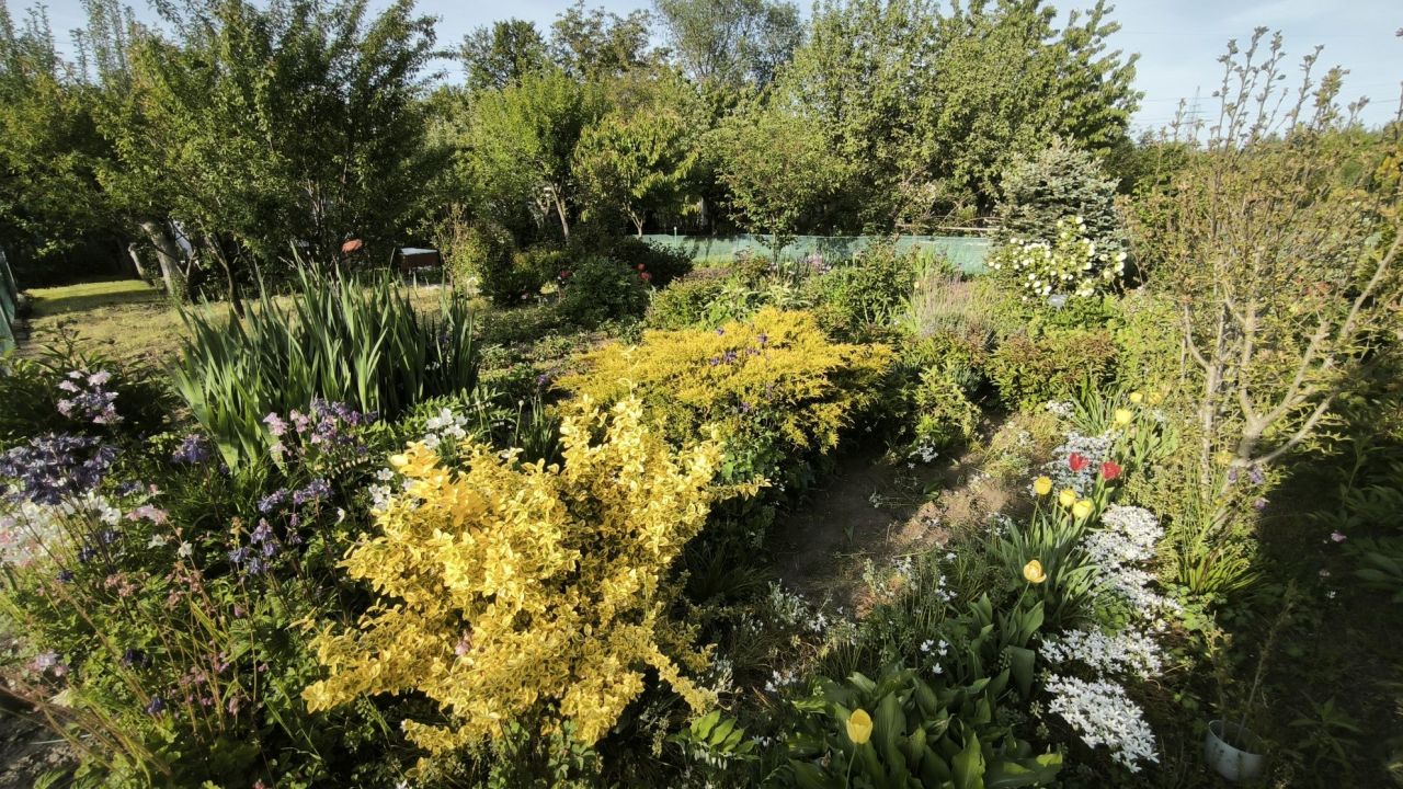 Działka rod Legnica. Zdjęcie 7