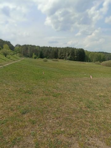 Działka rolna Liszkowo. Zdjęcie 1