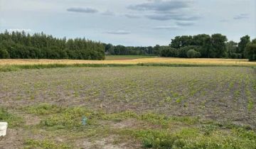 Działka budowlana Czaple
