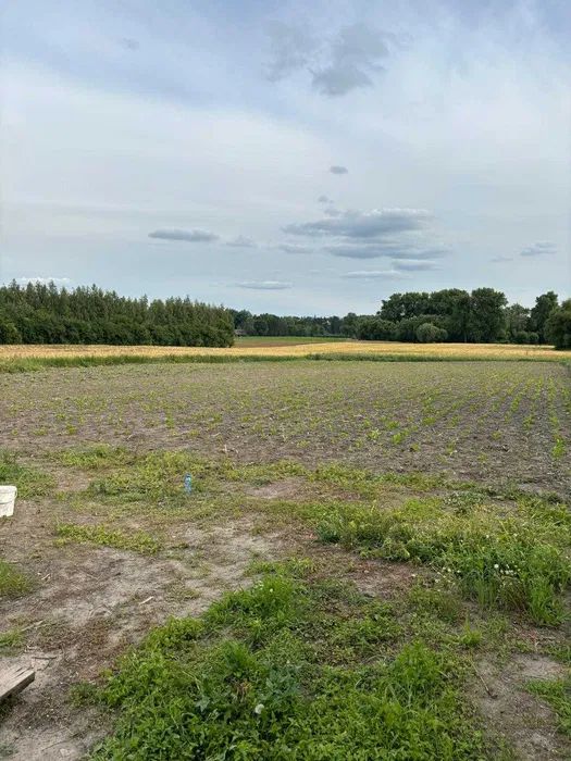 Działka budowlana Czaple. Zdjęcie 2