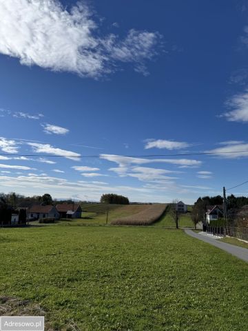 Działka budowlana Niegowić. Zdjęcie 1