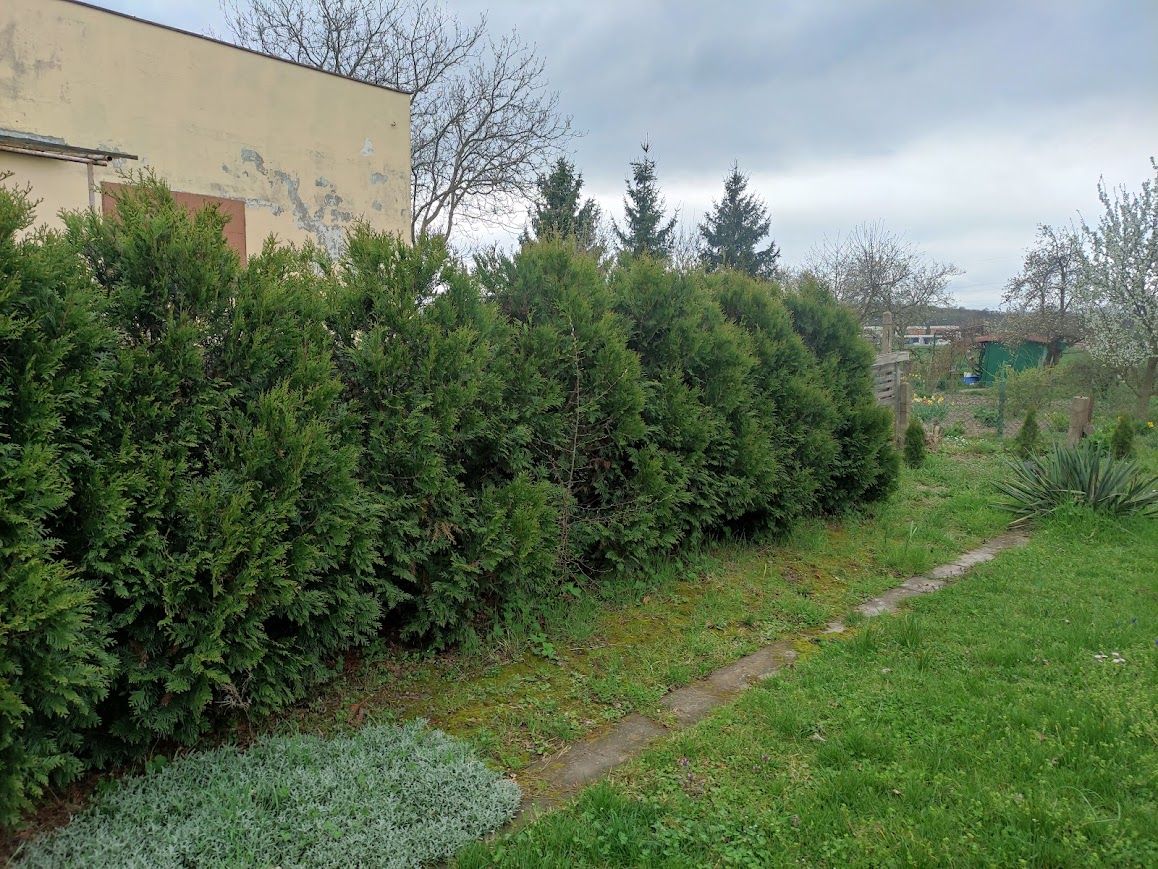 Działka rod Lipce. Zdjęcie 2