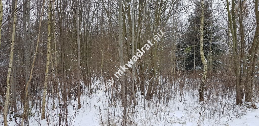 Działka inwestycyjna Marków-Towarzystwo. Zdjęcie 3