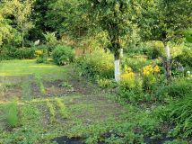 Działka rod Legnica Centrum, ul. Roberta Schumana. Zdjęcie 2