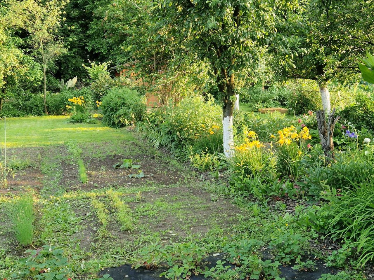 Działka rod Legnica Centrum, ul. Roberta Schumana. Zdjęcie 3