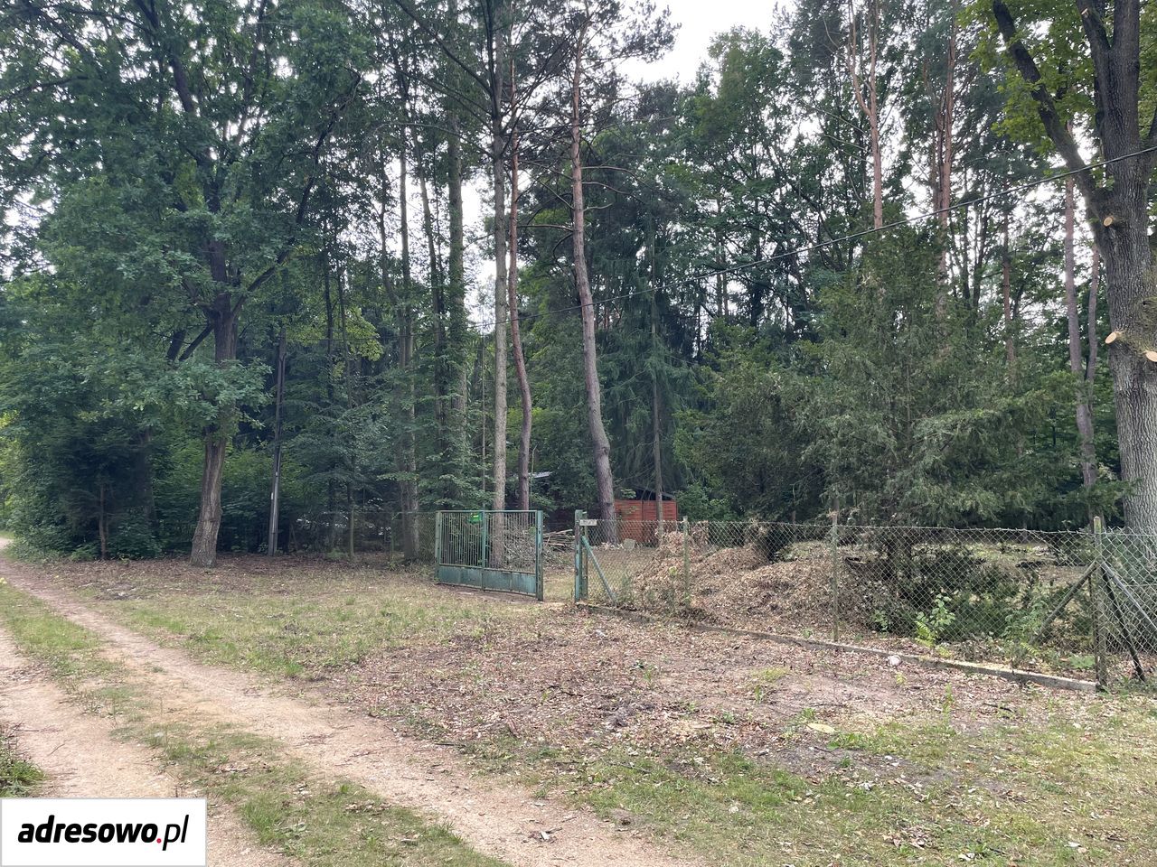 Działka rekreacyjna Popowo-Parcele, ul. Dębowa. Zdjęcie 14