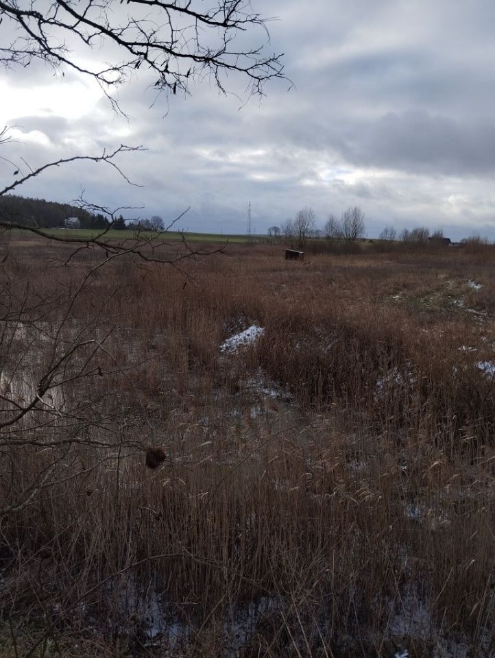 Działka rolno-budowlana Mostkowo. Zdjęcie 3